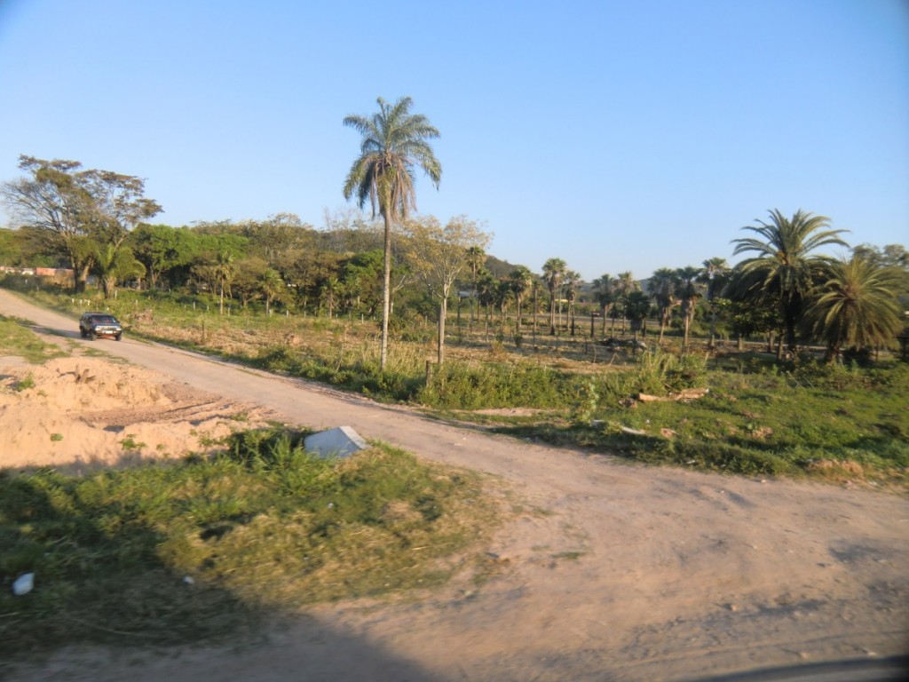 Tropische Vegetation außerhalb der Stadt