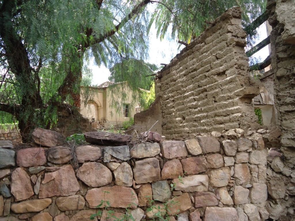 camargo_finca