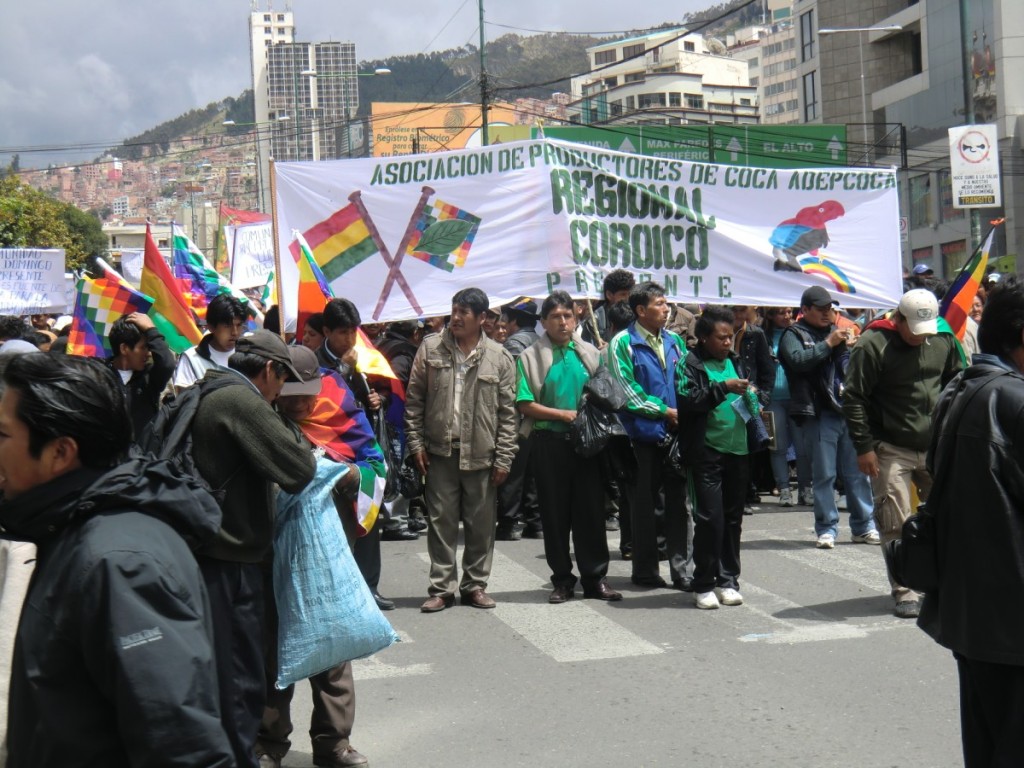 lp_demo_banner