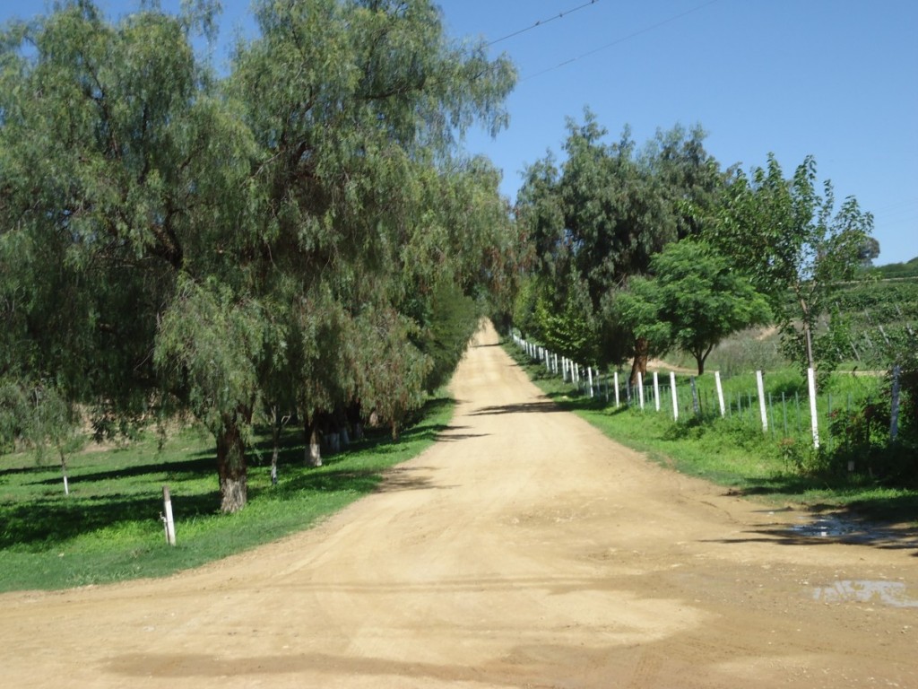 trj_kohlberg_finca_camino