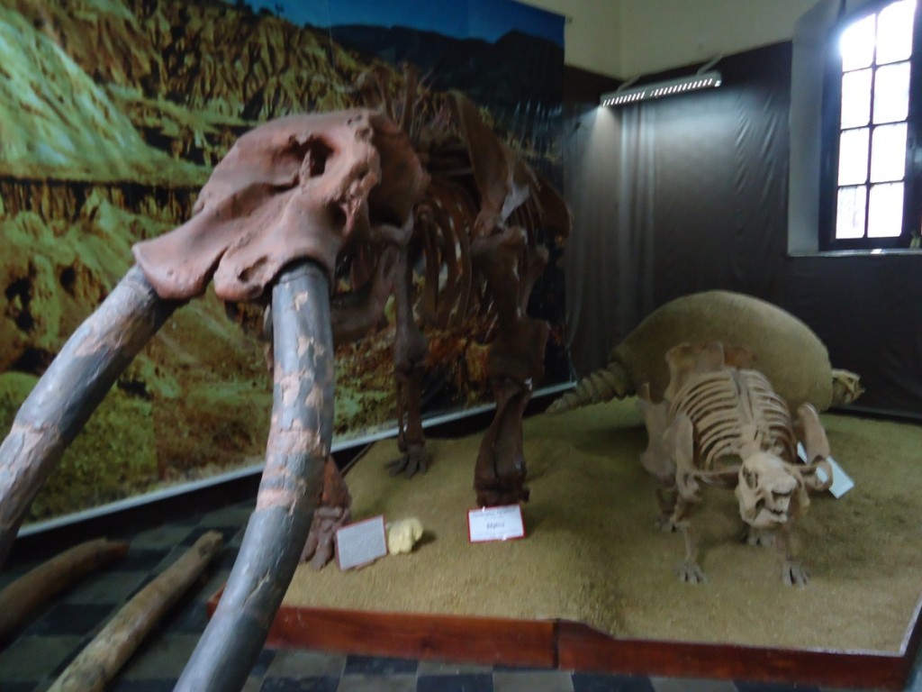 trj_pal_museum